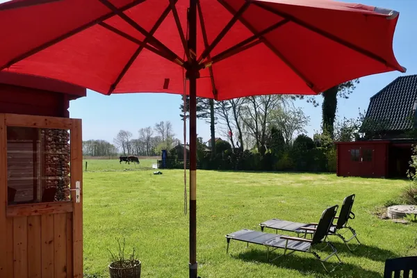 Blick in den Garten