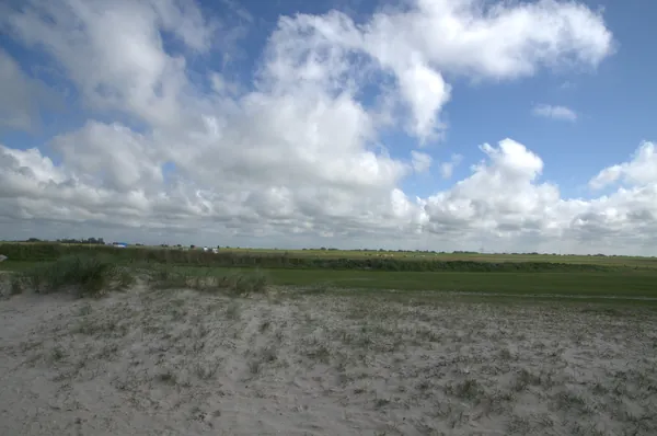 Salzwiesen